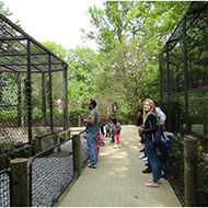 Výlet do ZOO Ostrava