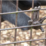 Výlet do ZOO Ostrava