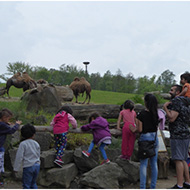 Výlet do ZOO Ostrava